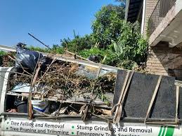 Best Furniture Removal  in Cape May Court House, NJ